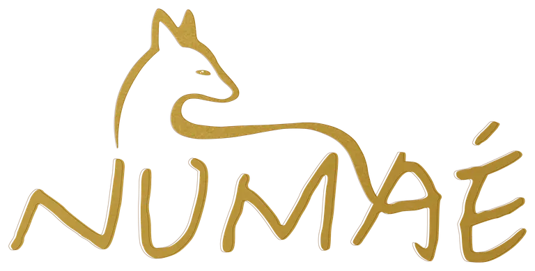 NUMAÉ